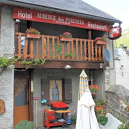 Hotel Des Pyrenees 3*